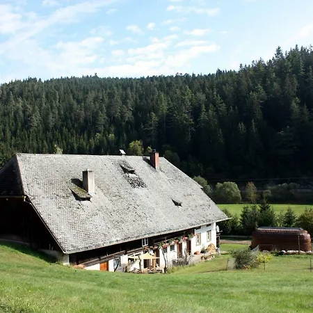 Holiday home Igluhut Tiny House Winterberghof Vohrenbach