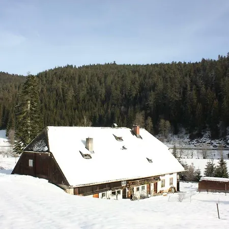 Igluhut Tiny House Winterberghof Holiday home Vohrenbach